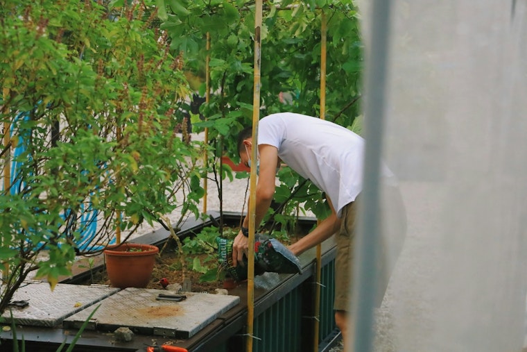 Minneapolis Unveils Grants for Urban Farming and Food Waste Projects in Climate Initiative Push