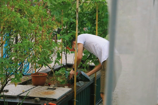 Minneapolis Unveils Grants for Urban Farming and Food Waste Projects in Climate Initiative Push