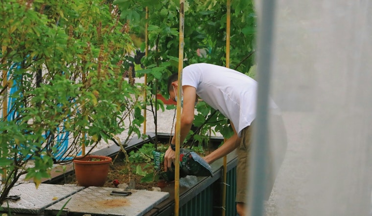 Minneapolis Unveils Grants for Urban Farming and Food Waste Projects in Climate Initiative Push