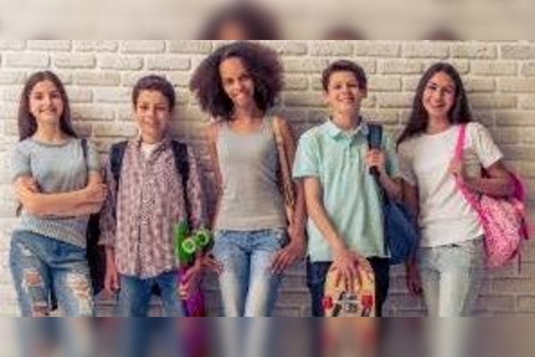 Minnesota Seeks Public Input on Adoption Records Access via Zoom Sessions