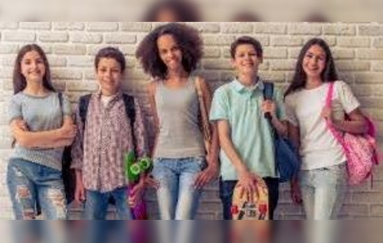 Minnesota Seeks Public Input on Adoption Records Access via Zoom Sessions