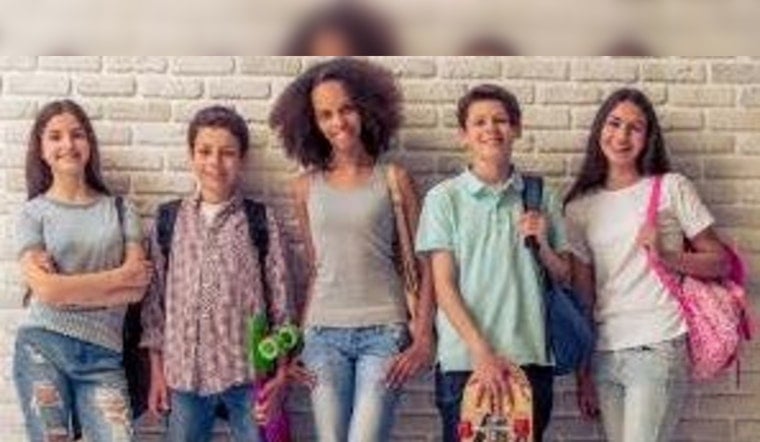 Minnesota Seeks Public Input on Adoption Records Access via Zoom Sessions