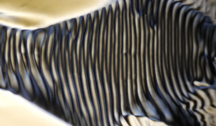 MIT Research Unveils Surprise Chirality in Flowing Liquid Crystals, Revolutionizing Material Design