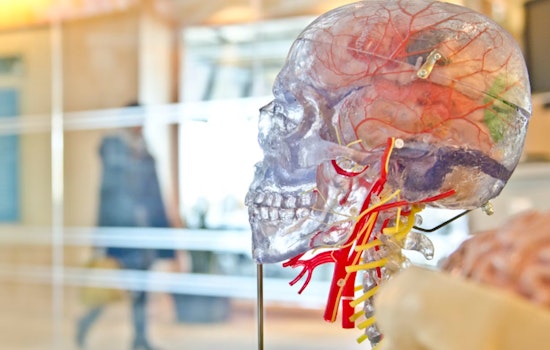 MIT Study Indicates Possible Socioeconomic Influence on Children's Brain Response to Rewards