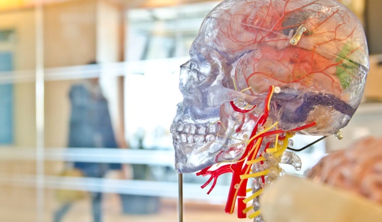 MIT Study Indicates Possible Socioeconomic Influence on Children's Brain Response to Rewards