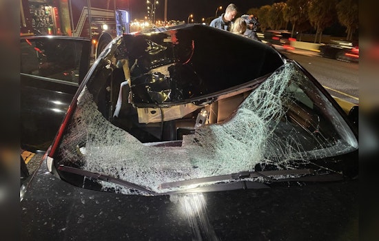 Mother and Daughter Miraculously Unhurt as Runaway Tire Strikes Car in Clearwater Freak Accident