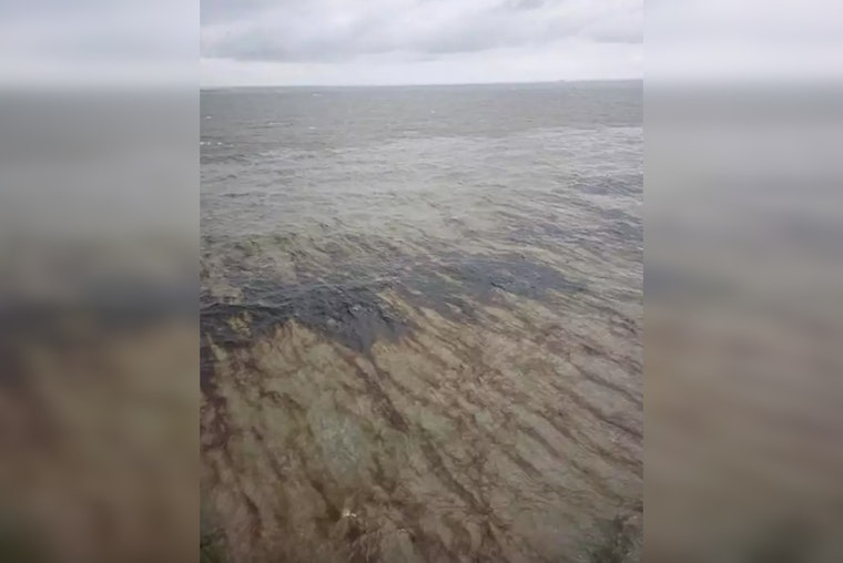 Mystery Oil Spill Plagues Gulf's Marine Life, Putting Houston Pipeline Under the Microscope