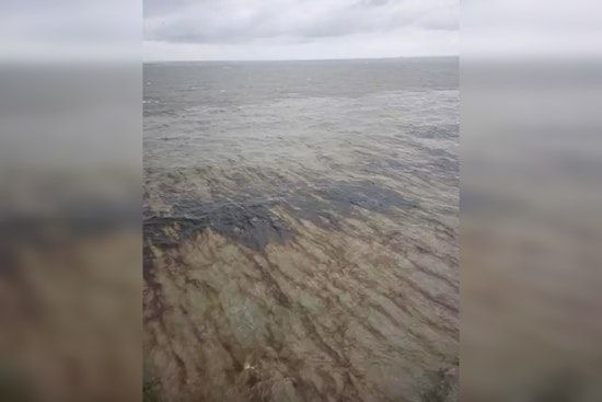Mystery Oil Spill Plagues Gulf's Marine Life, Putting Houston Pipeline Under the Microscope
