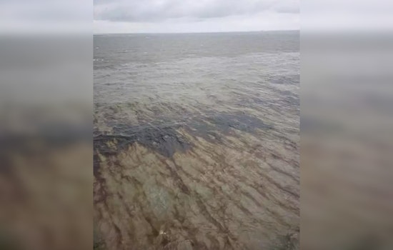 Mystery Oil Spill Plagues Gulf's Marine Life, Putting Houston Pipeline Under the Microscope