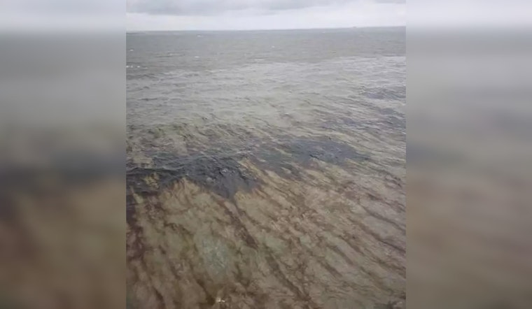 Mystery Oil Spill Plagues Gulf's Marine Life, Putting Houston Pipeline Under the Microscope