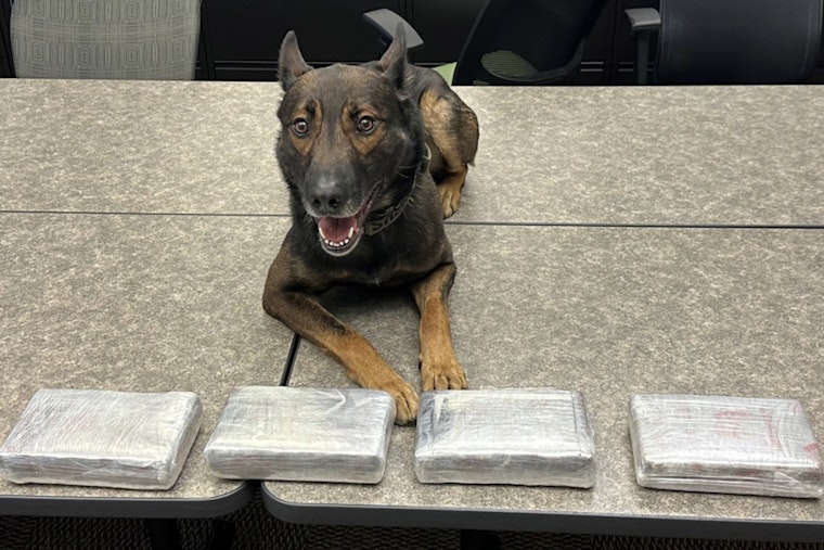 Napa Sheriff's K-9 Sniffs Out $200K Cocaine Cache, Two Men Face Serious Charges After Calistoga Traffic Stop