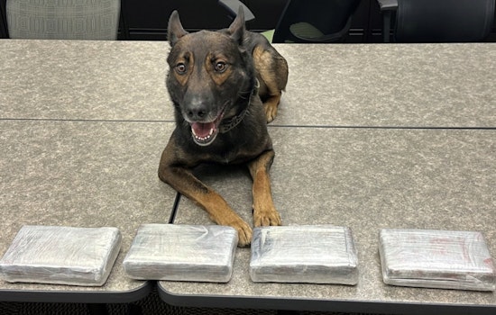 Napa Sheriff's K-9 Sniffs Out $200K Cocaine Cache, Two Men Face Serious Charges After Calistoga Traffic Stop