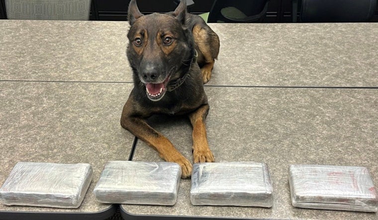 Napa Sheriff's K-9 Sniffs Out $200K Cocaine Cache, Two Men Face Serious Charges After Calistoga Traffic Stop