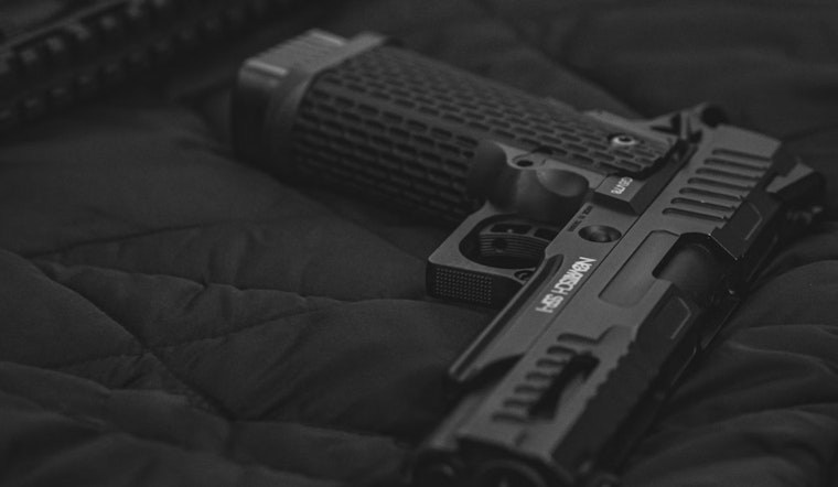 New Red Flag Law in Michigan Set for Activation, Targets Reduction in Gun Violence