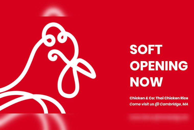New Thai-Inspired Chicken & Co. Eatery Opens in North Cambridge, Serving Comfort Food Bliss