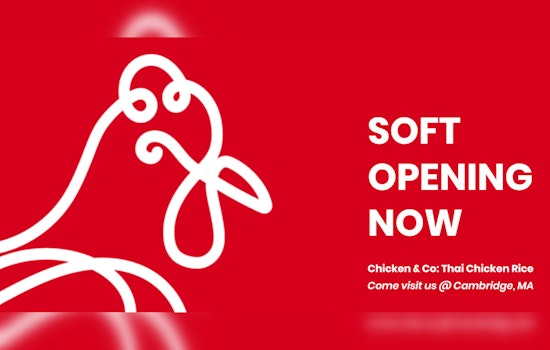 New Thai-Inspired Chicken & Co. Eatery Opens in North Cambridge, Serving Comfort Food Bliss