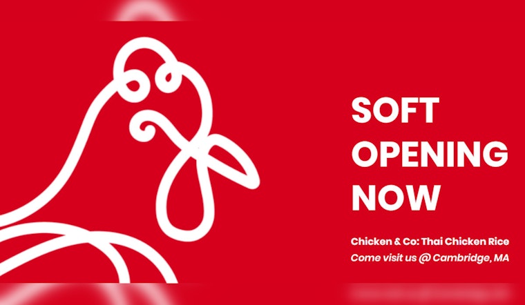 New Thai-Inspired Chicken & Co. Eatery Opens in North Cambridge, Serving Comfort Food Bliss