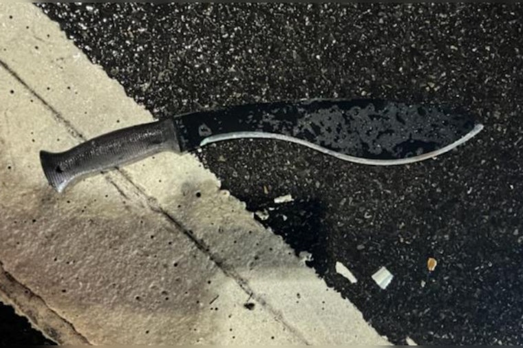 New Year's Nightmare: Blade-wielding Suspects Unleash Terror in Miami and Times Square