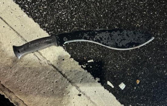 New Year's Nightmare: Blade-wielding Suspects Unleash Terror in Miami and Times Square