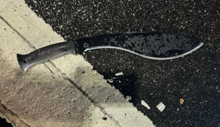 New Year's Nightmare: Blade-wielding Suspects Unleash Terror in Miami and Times Square