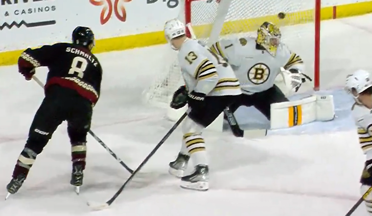 Nick Schmaltz Lifts Coyotes to Overtime Triumph Against Bruins with Last-Minute Goal