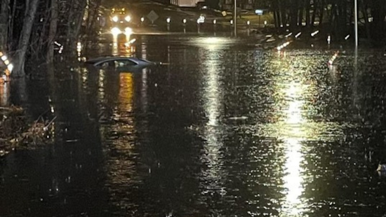 Norwood Driver Pulled from Floodwaters, Rescued from Tree Limb After Storm Submerges Car