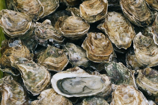 OC Health Officials Warn Against Raw Oyster Consumption Linked to Norovirus Outbreak
