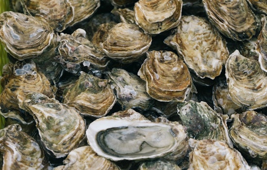 OC Health Officials Warn Against Raw Oyster Consumption Linked to Norovirus Outbreak