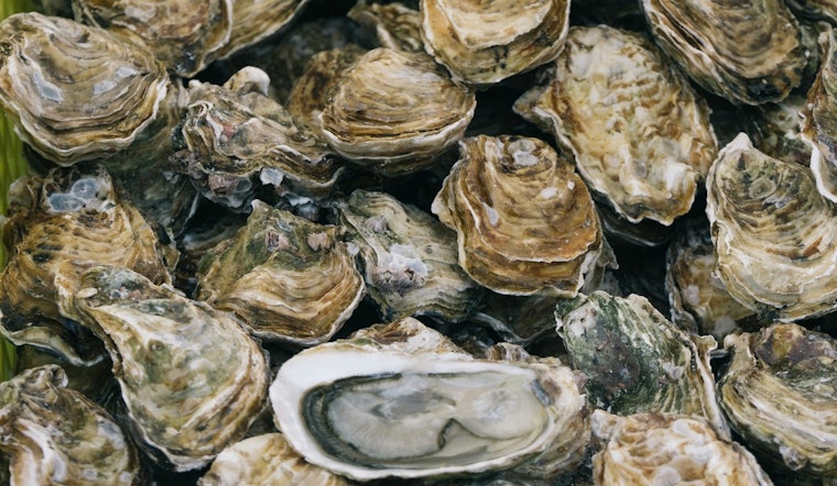 OC Health Officials Warn Against Raw Oyster Consumption Linked to Norovirus Outbreak