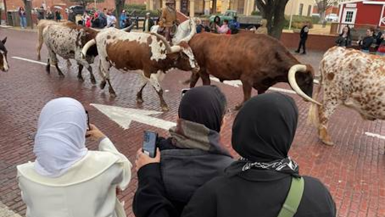 Oman Delegation Wrangles Innovation Ideas in Fort Worth During Texas Economic Tour