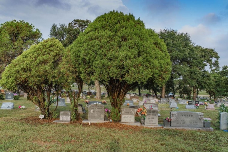 Outcry as Historic Black Cemeteries in Austin Face Vandalism, Bringing