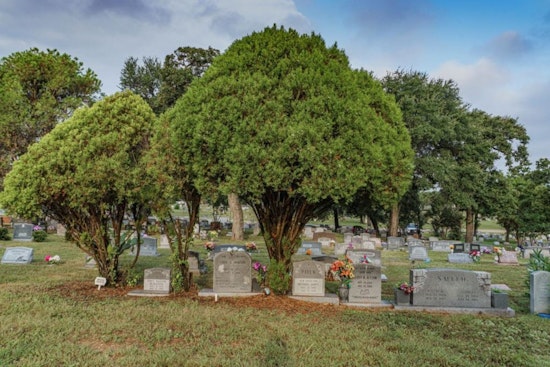 Outcry as Historic Black Cemeteries in Austin Face Vandalism, Bringing Community Together in Vigil