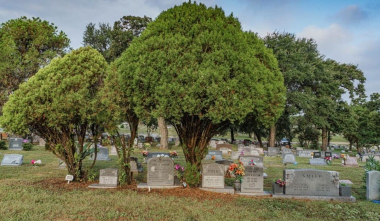 Outcry as Historic Black Cemeteries in Austin Face Vandalism, Bringing Community Together in Vigil
