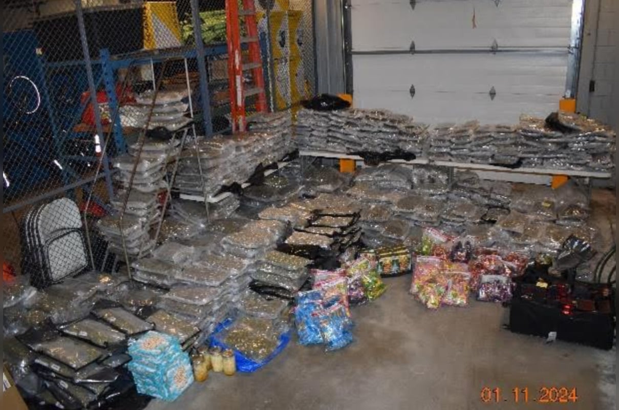 Over 760 Pounds of Marijuana Seized in Randolph Bust, Two Braintree