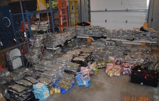 Over 760 Pounds of Marijuana Seized in Randolph Bust, Two Braintree Residents Charged