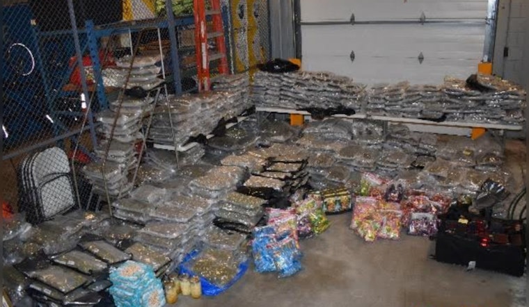 Over 760 Pounds of Marijuana Seized in Randolph Bust, Two Braintree Residents Charged