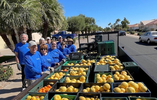Phoenix Charitable Call: St. Mary's Food Bank Seeks Citrus Donations Through End of March