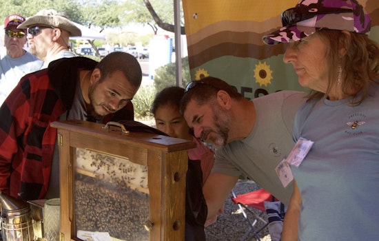 Phoenix Residents Abuzz with Home Gardening to Aid Bee Conservation Efforts