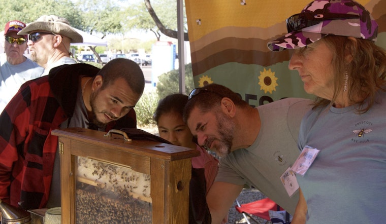 Phoenix Residents Abuzz with Home Gardening to Aid Bee Conservation Efforts