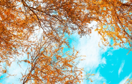 Phoenix to Enjoy a Week of Sunny Skies and Mild Temperatures, Says National Weather Service