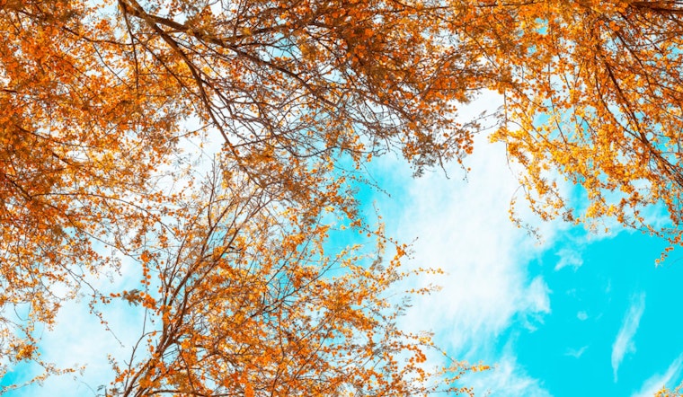 Phoenix to Enjoy a Week of Sunny Skies and Mild Temperatures, Says National Weather Service