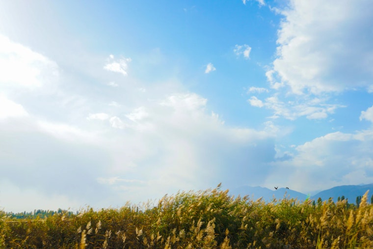 Phoenix to Experience Week of Shifting Weather with Chances of Showers and Fluctuating Temperatures