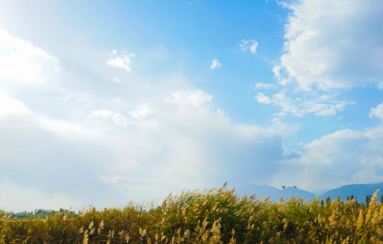 Phoenix to Experience Week of Shifting Weather with Chances of Showers and Fluctuating Temperatures
