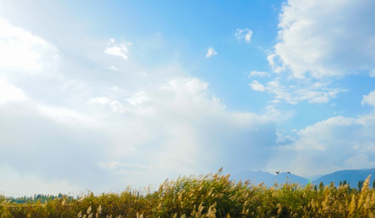 Phoenix to Experience Week of Shifting Weather with Chances of Showers and Fluctuating Temperatures