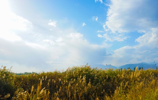 Phoenix to Revel in Sunny, Mild Week with Temps Rising to Mid-70s Ahead of M.L.King Day