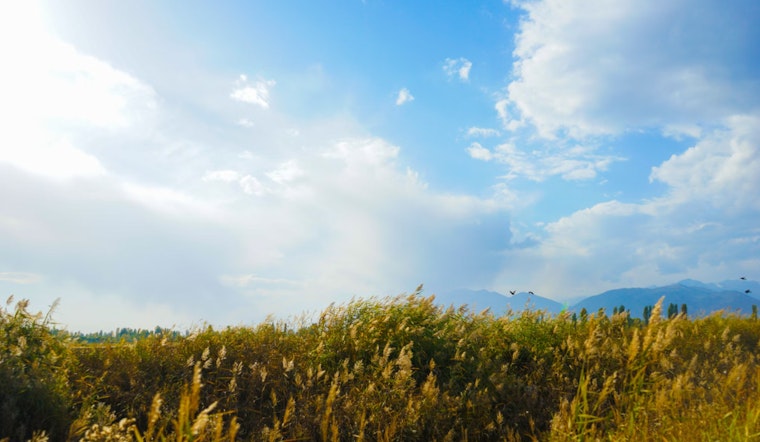 Phoenix to Revel in Sunny, Mild Week with Temps Rising to Mid-70s Ahead of M.L.King Day
