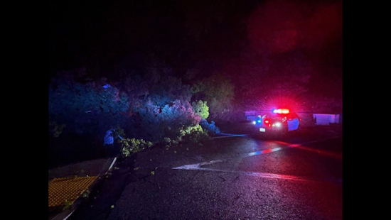 Piedmont Intersection Blocked by Fallen Tree and Broken Water Line, Police Advise Detours