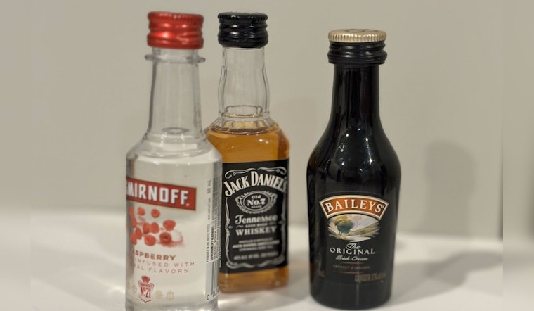Plymouth Residents to Decide on 'Nips' Ban Amid Environmental and Economic Concerns
