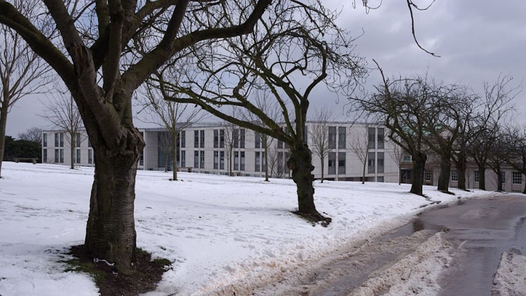 Portland and Baton Rouge Face Widespread Shutters Amid Severe Winter Weather