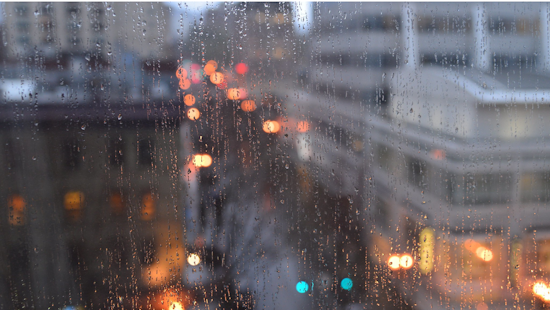 Portland and Vancouver Bask in Spring-Like Warmth Amid Rain, with Chillier Weather on Horizon